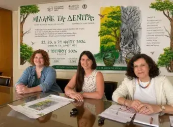 Περιφερειακή Ομοσπονδία ΑμεΑ Βορείου Αιγαίου